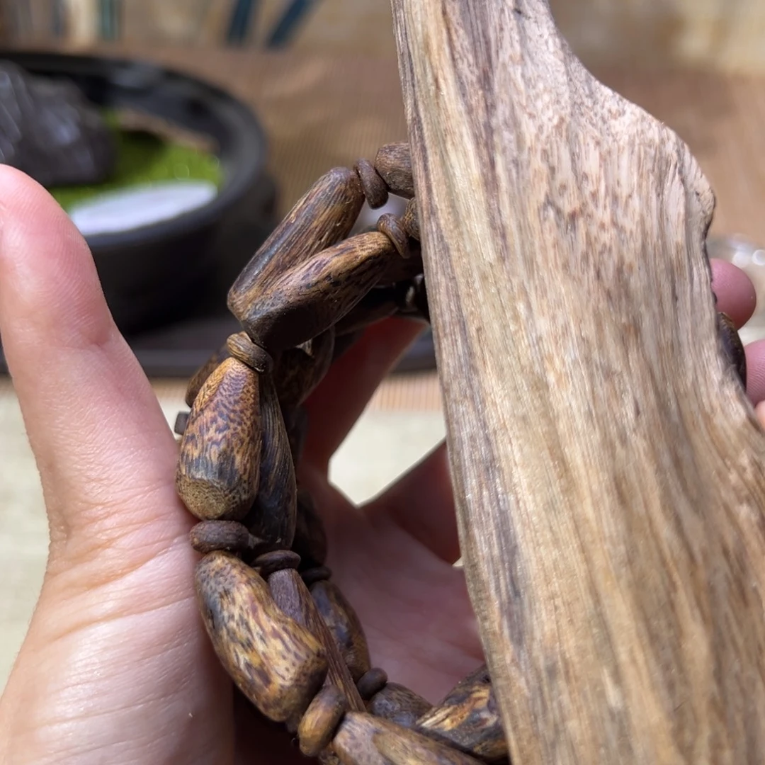 香榧木海南木料种植绿奇树丁珠8克➕多样发1