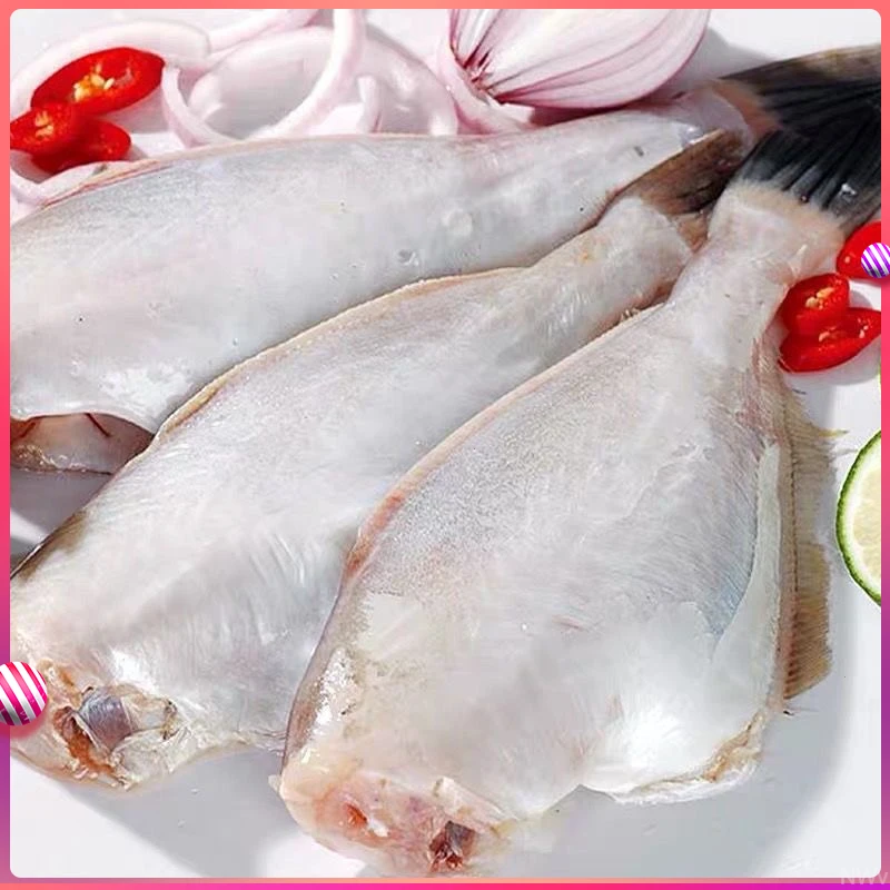 中大号耗儿鱼剥皮鱼火锅食材去皮马面鱼新鲜冷冻橡皮鱼扒皮鱼顺丰