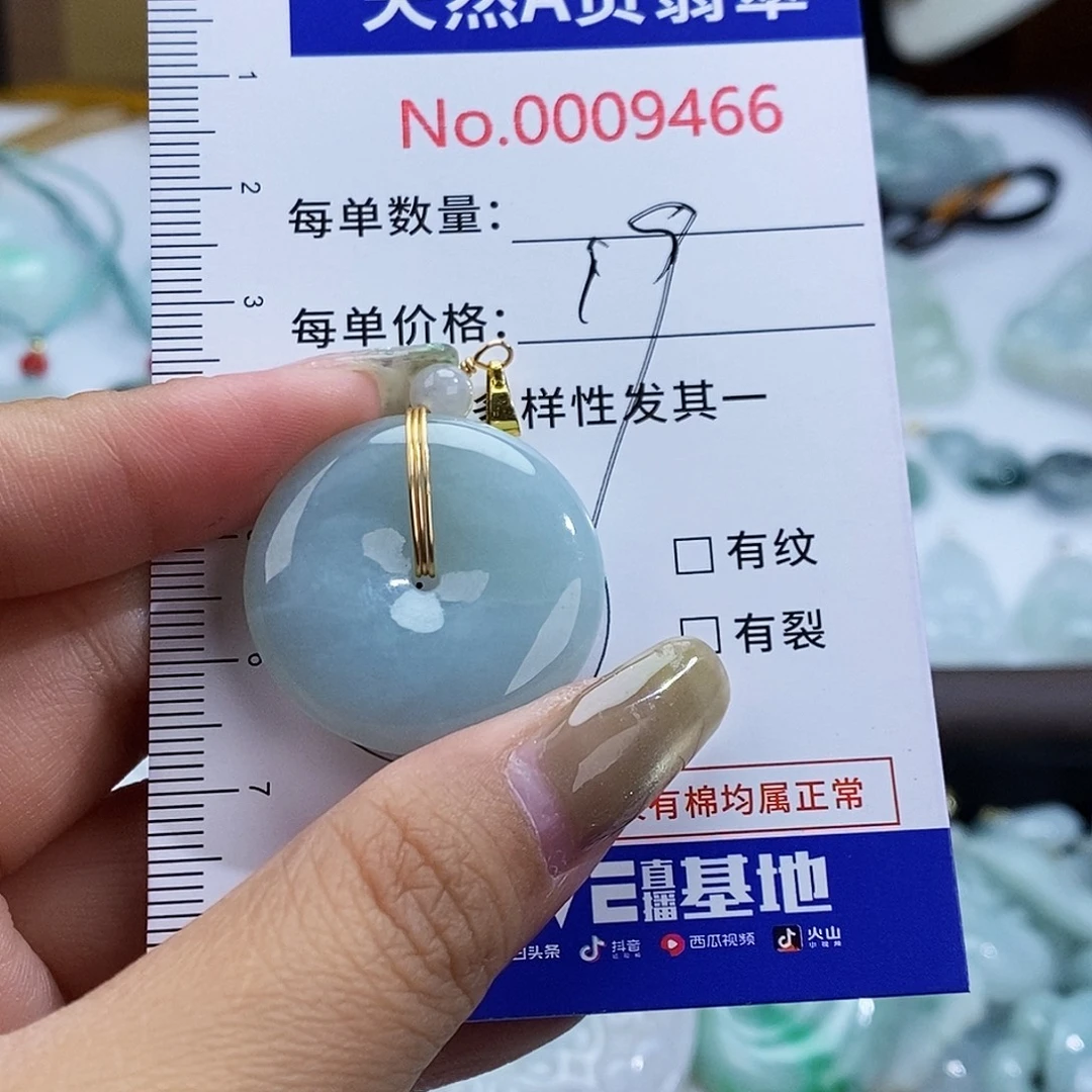 翡翠未镶嵌颈饰9466