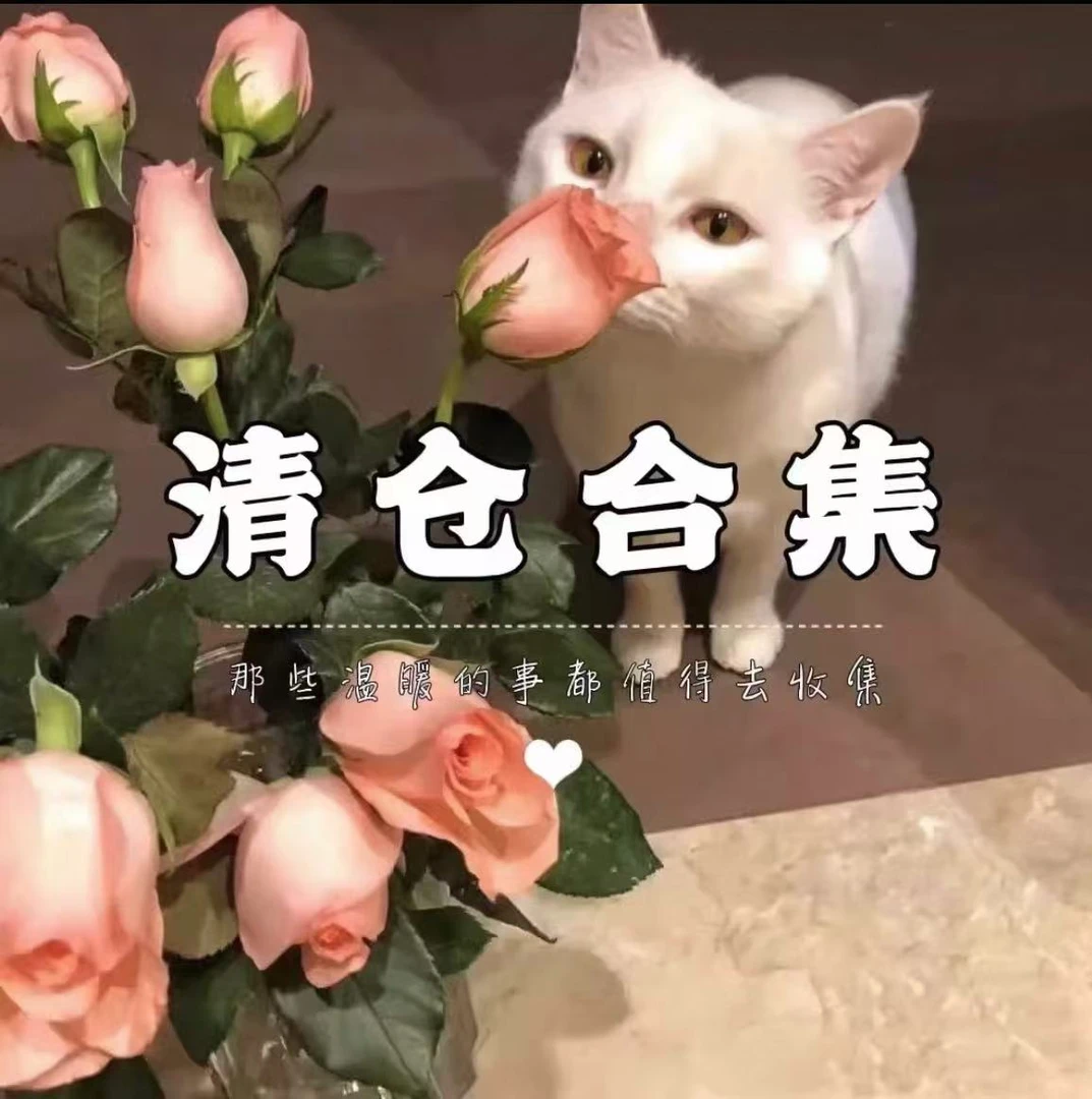 【直播专属】项链等饰品孤品清仓4实物看直播间编码绸缎