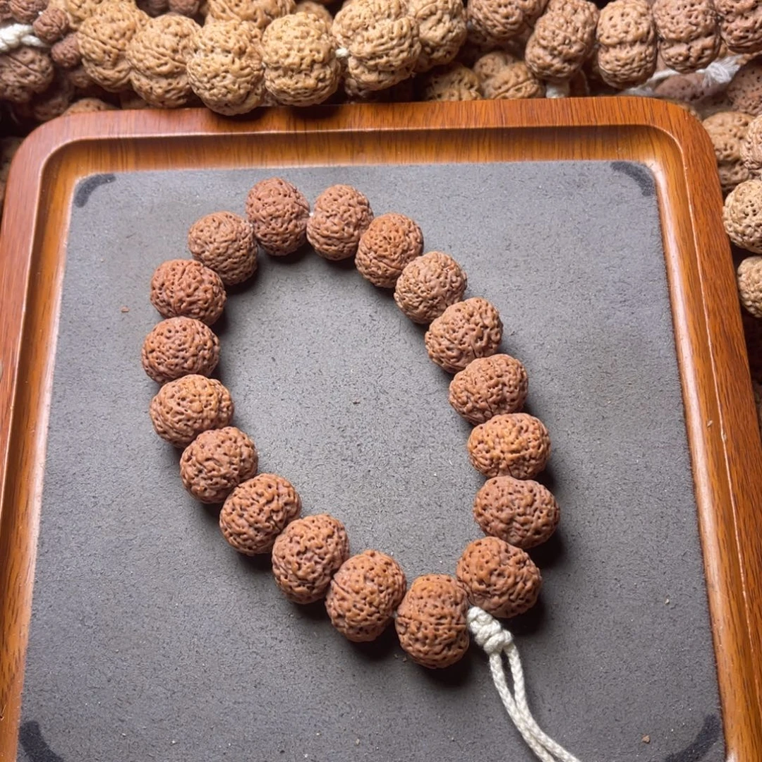 菩提籽类5号金刚菩提五星蜂王菠萝蜜19