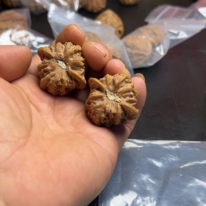 梦***人把件文玩核桃承德密纹