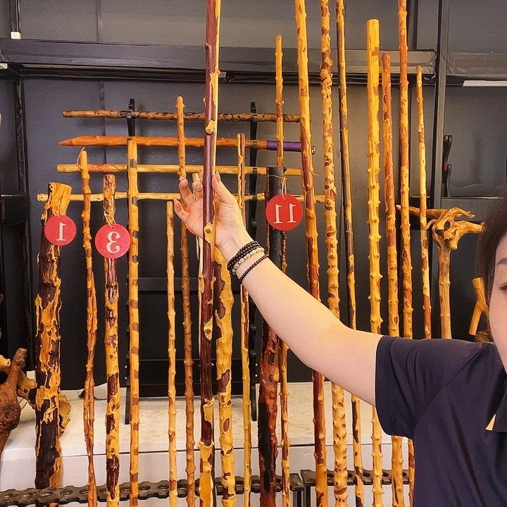 好好好好好好好好