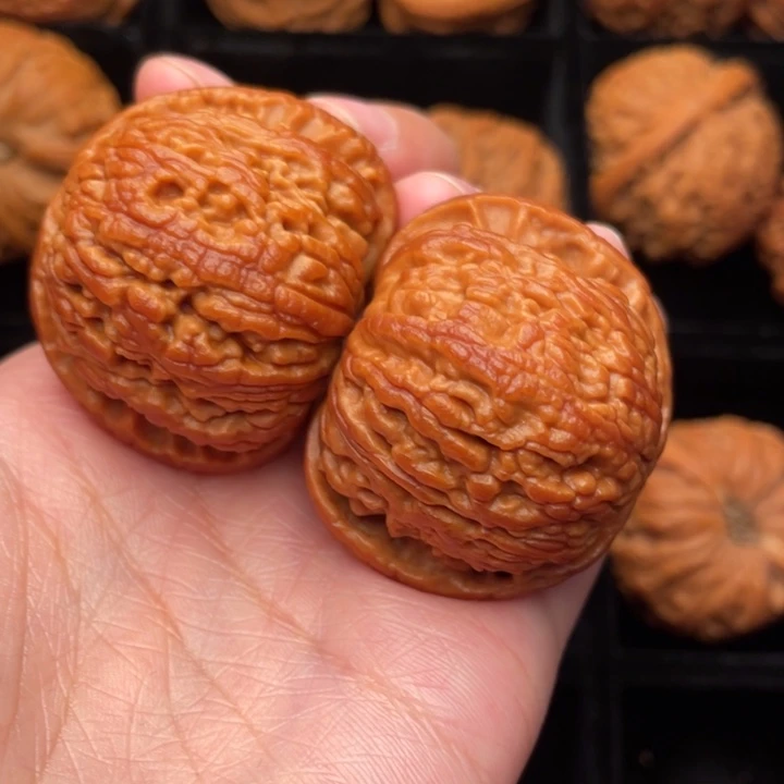 秦岭野生核桃野生文玩