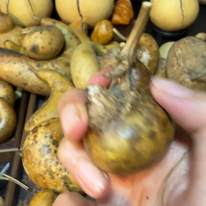 黄***犬啦咯啦咯啦咯啦咯啦咯啦