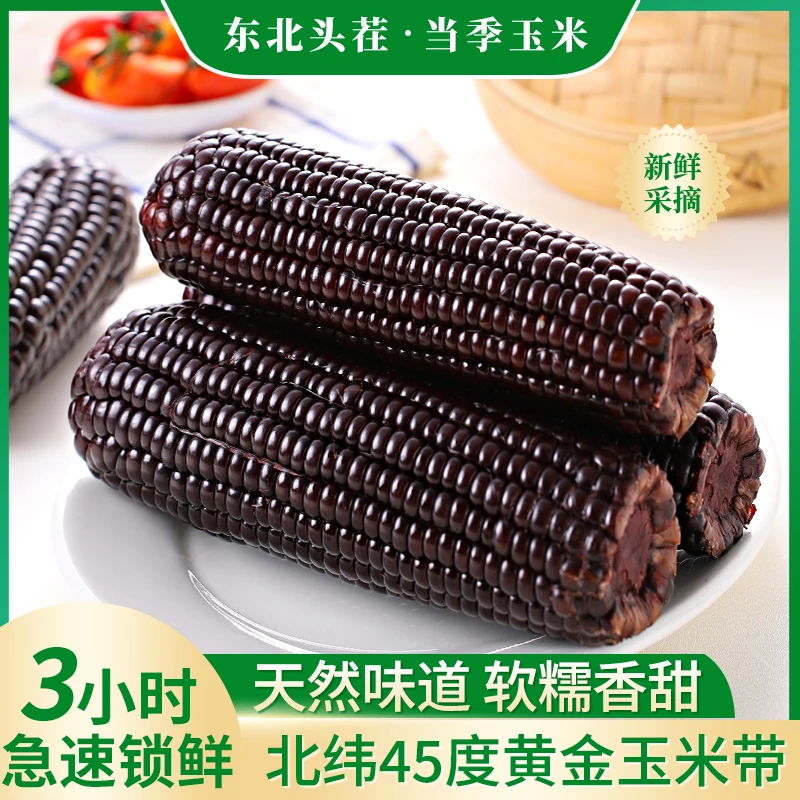 【可试吃1支】东北当季新玉米香甜黑甜糯玉米10支装整箱2400g