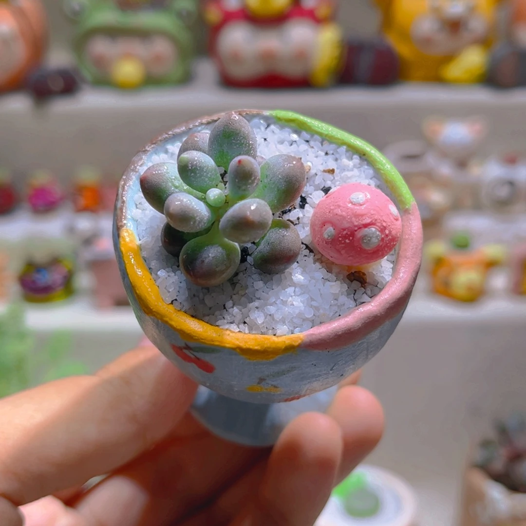 043草莓汤圆带盆带土手工盆