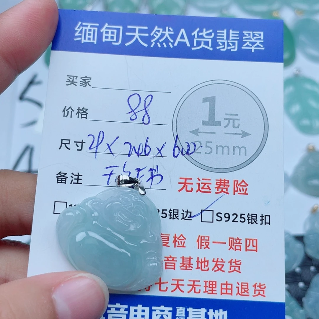 翡翠银S925镶嵌颈饰翡翠