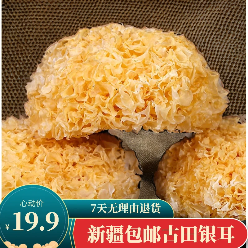 【新疆包邮】古田银耳干货软糯多胶雪耳白木耳营养莲子银耳羹食材