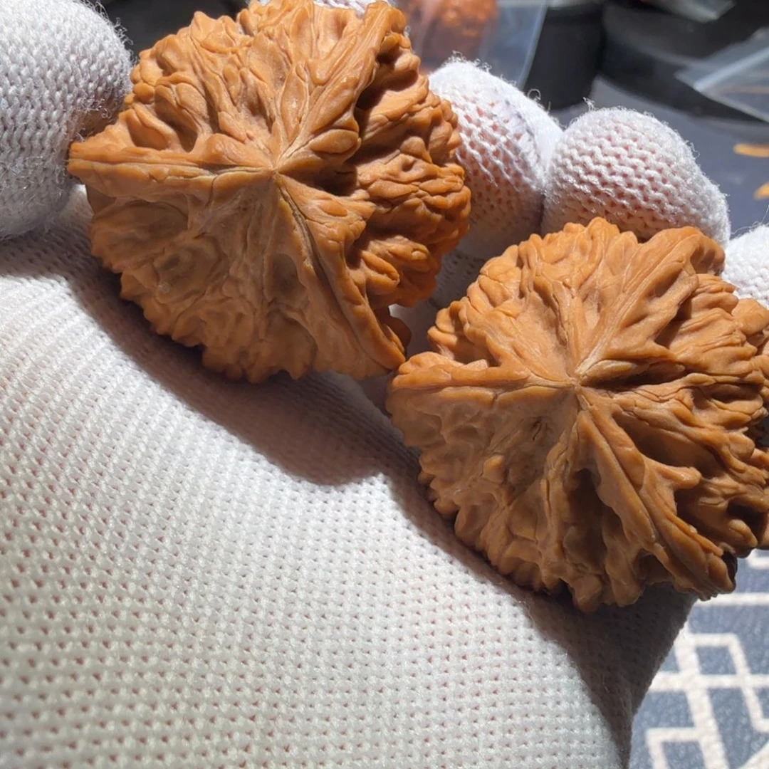 把件文玩核桃御龙正奔
