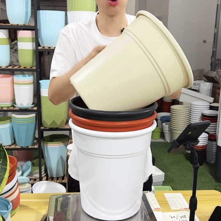 翻边口26高28混色无托4只