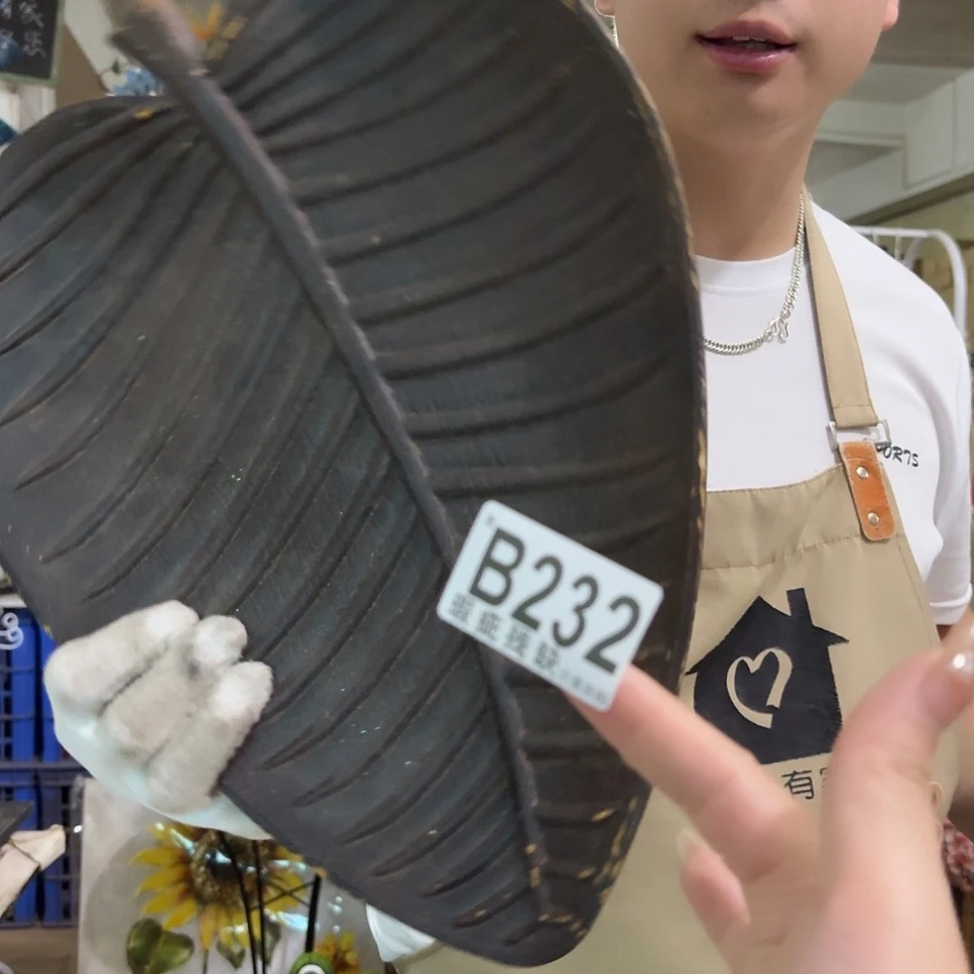 核桃木/黑胡桃（胡桃木）