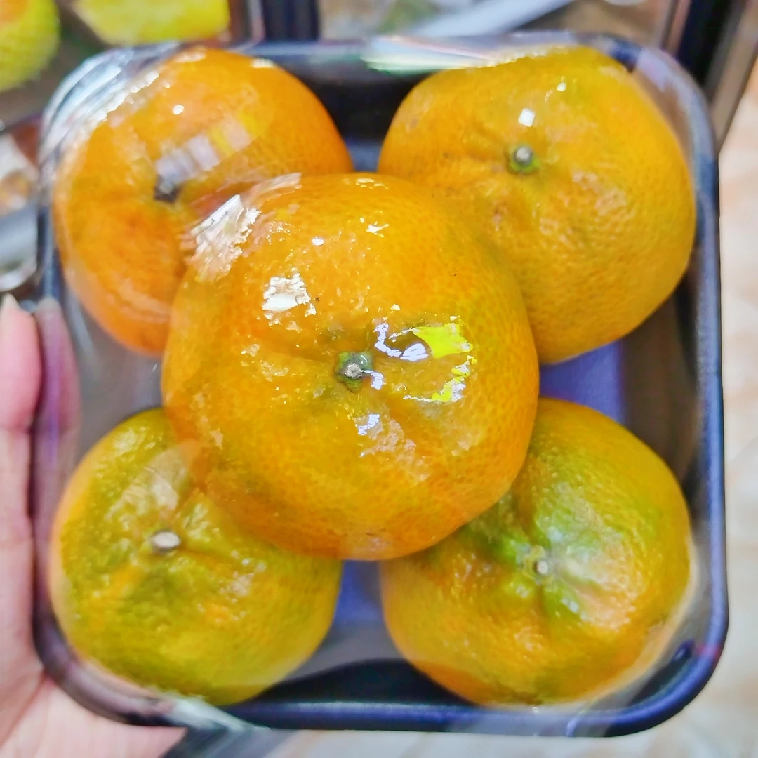 青皮蜜橘500g辽宁省