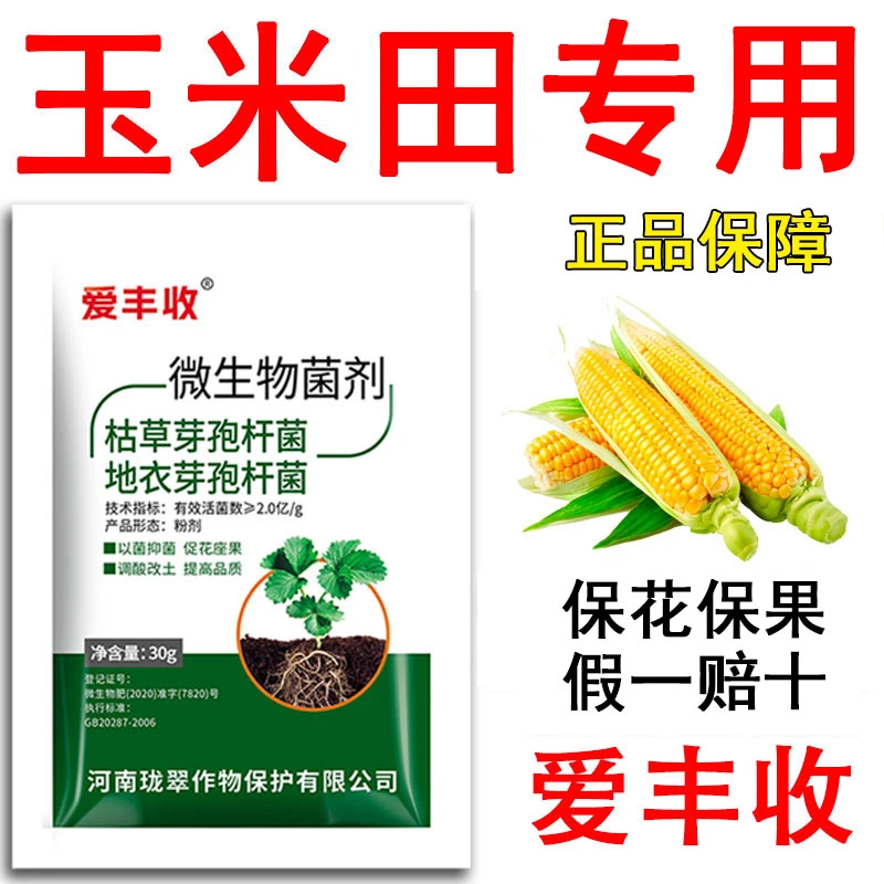 爱丰收玉米专用微生物菌剂玉米微生物肥料保花保果复绿微生物肥料
