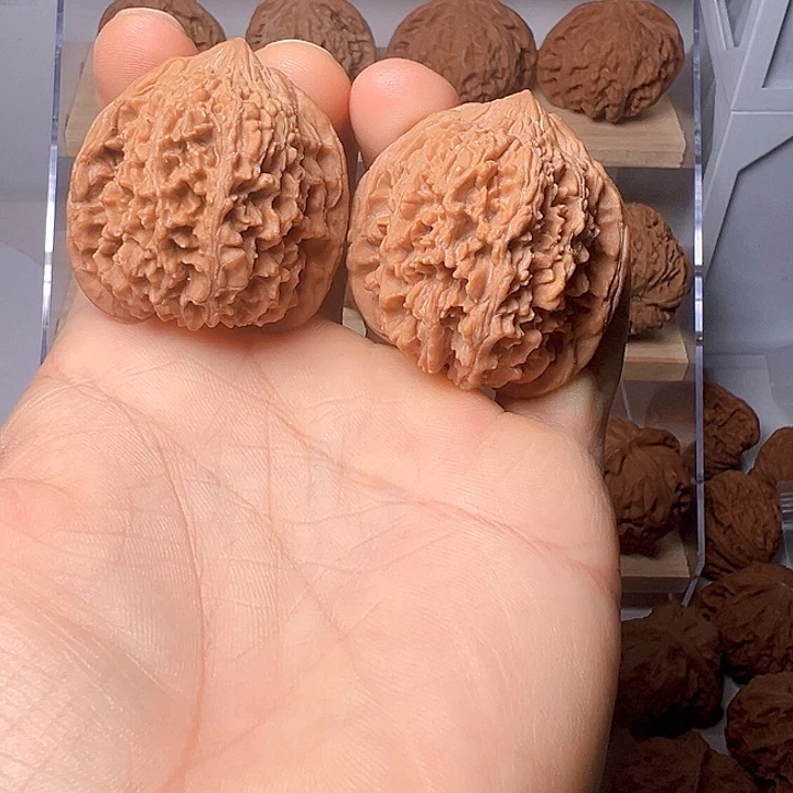 百花山满天星尺寸38➕