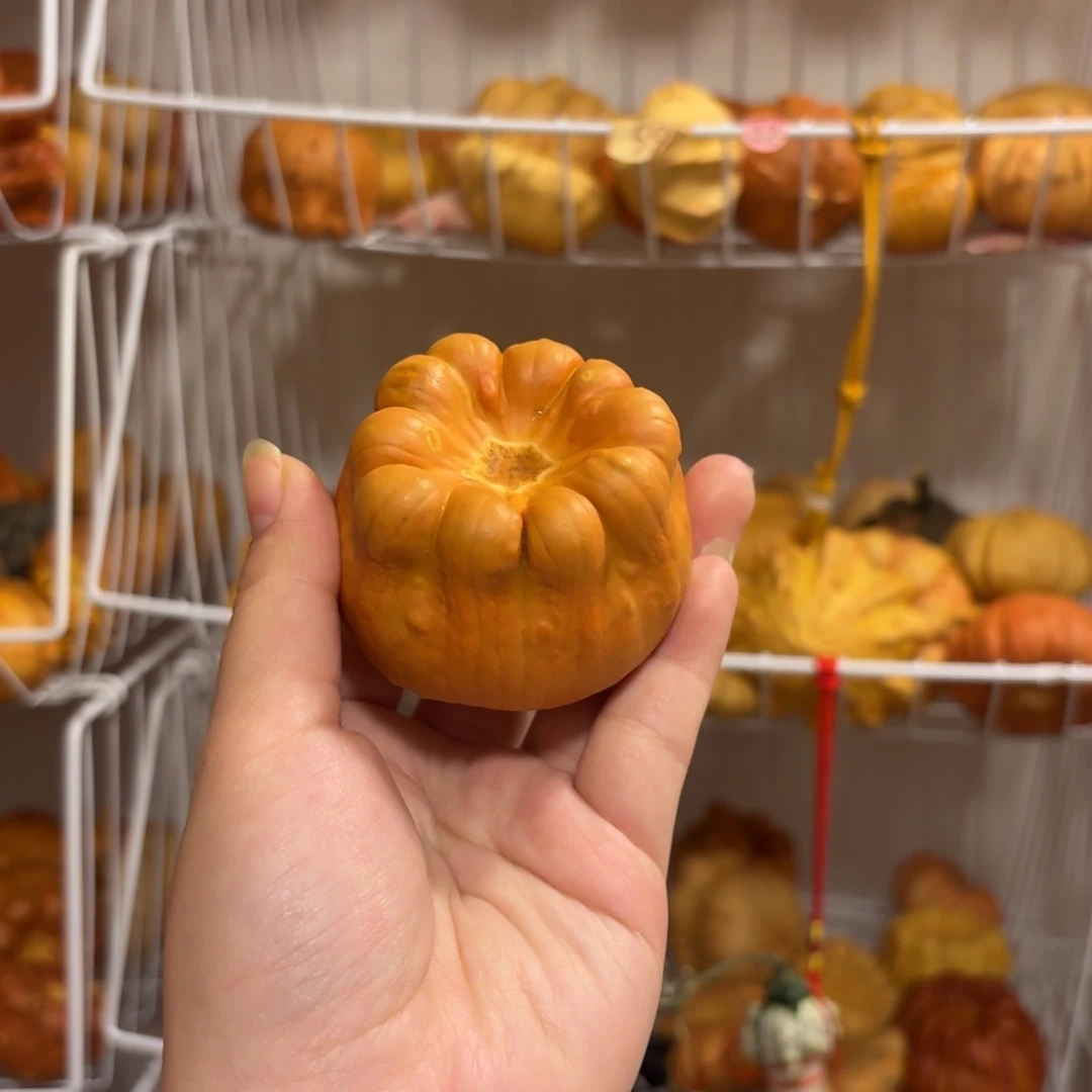 墨西哥葫芦墨西哥葫芦