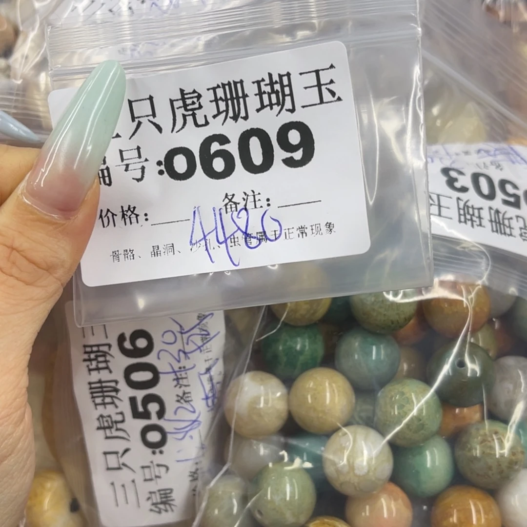 脆***猫硅化珊瑚（珊瑚玉）h未镶嵌