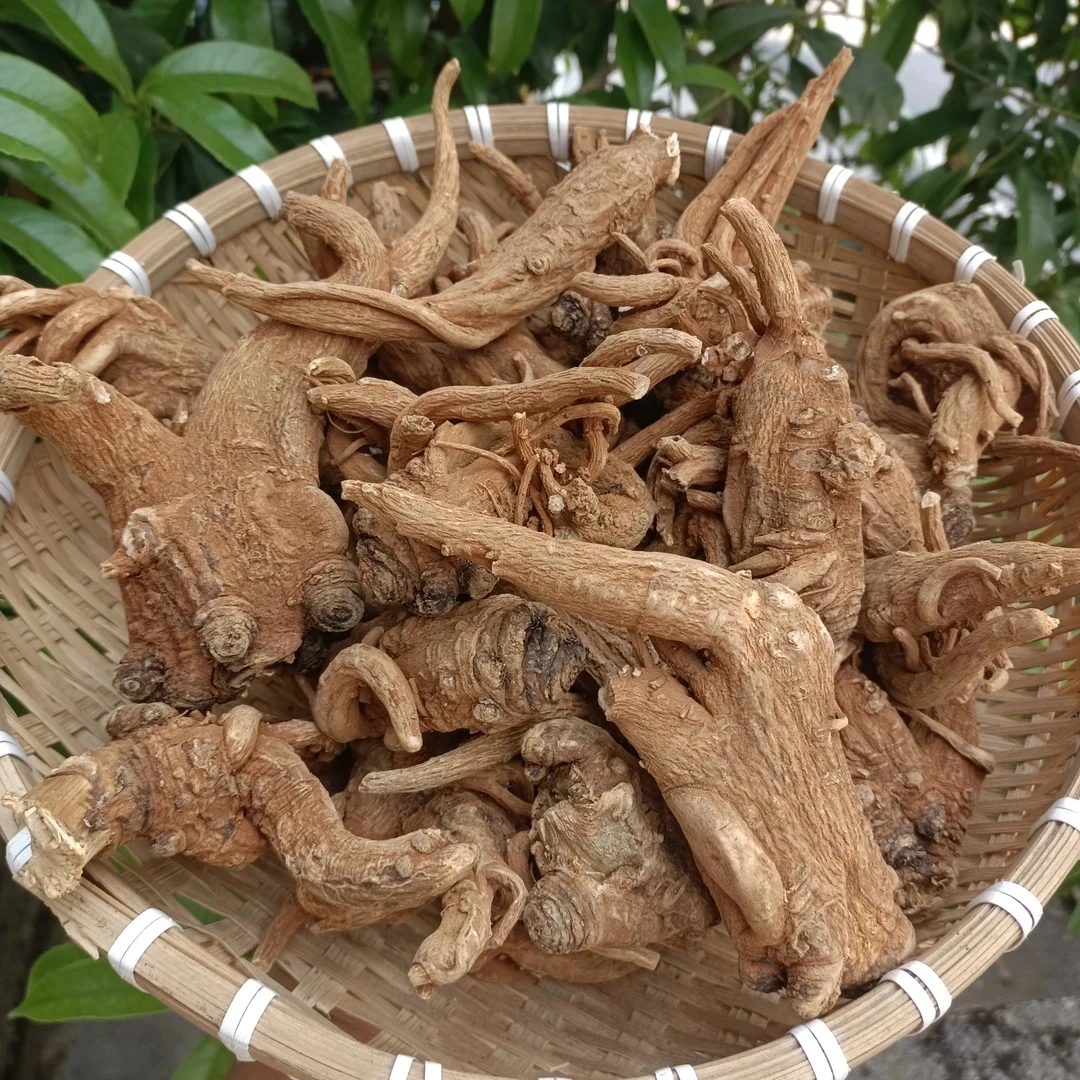 【当归】云贵高原深山当归干货
