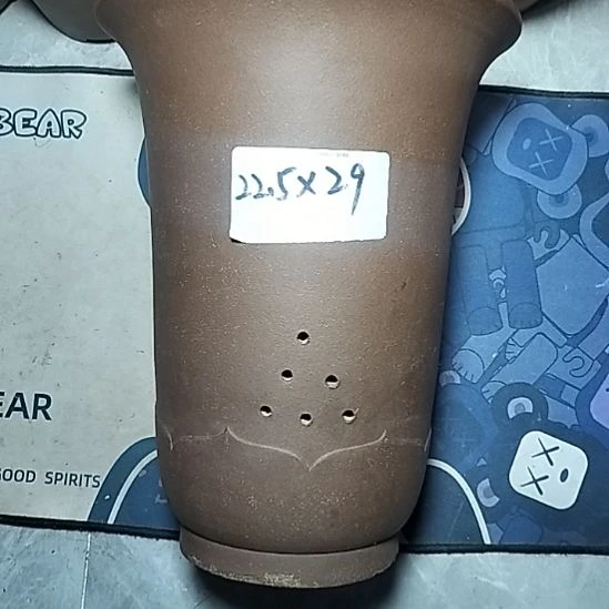 莲花金钟一个花盆