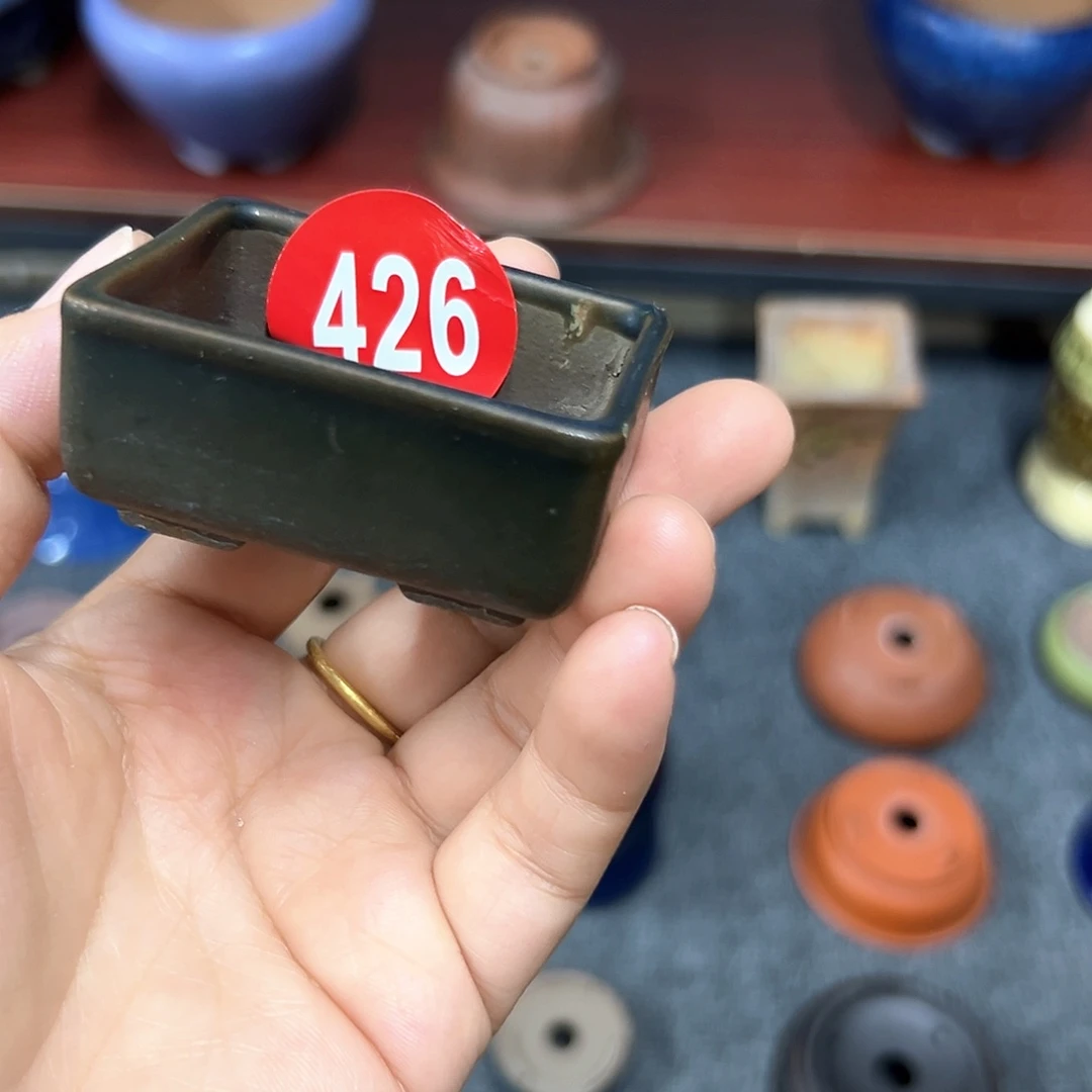 小***马对你的喜欢就如同这日子只增不减426