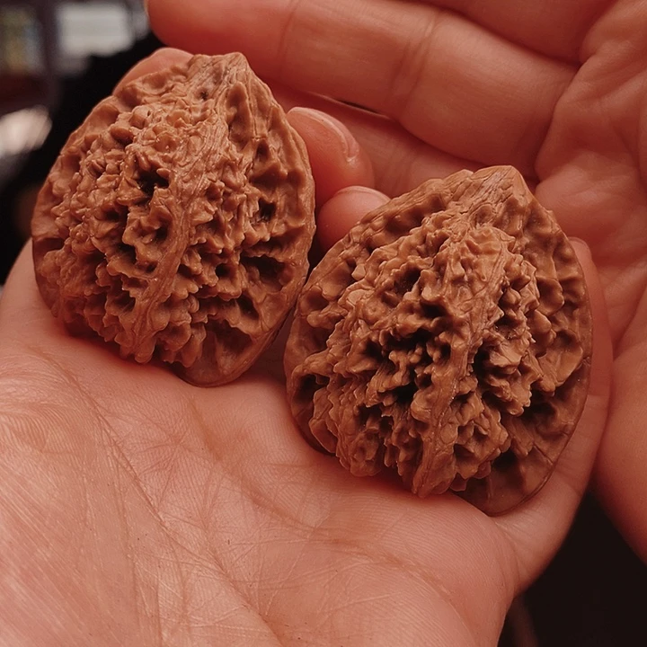 核桃40尺百花山核桃