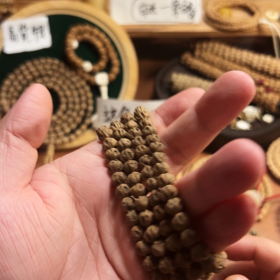 Z***Y热振对眼尸坨林柏香籽