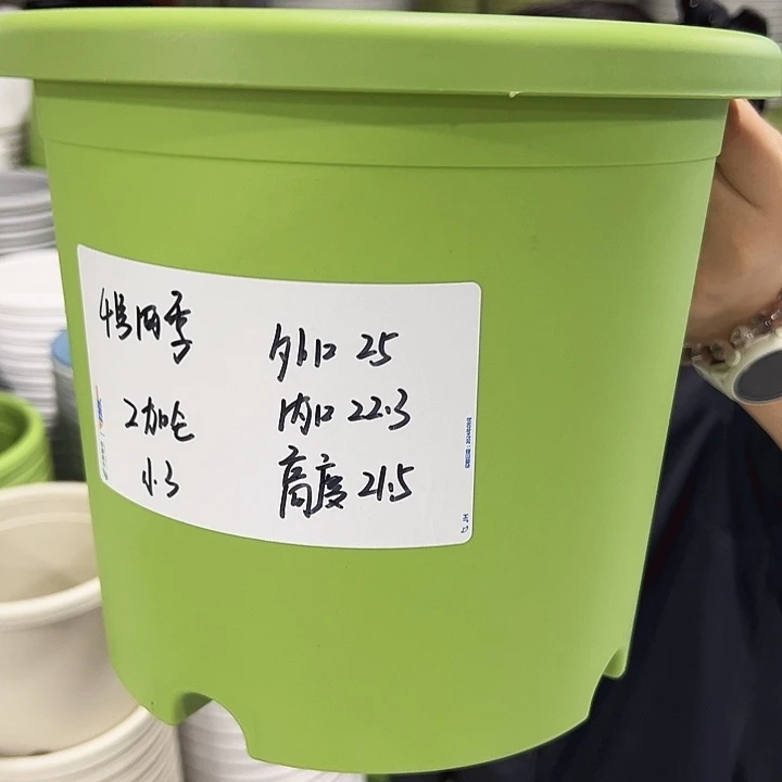 正品4号四季口25高21.5果绿无托8只