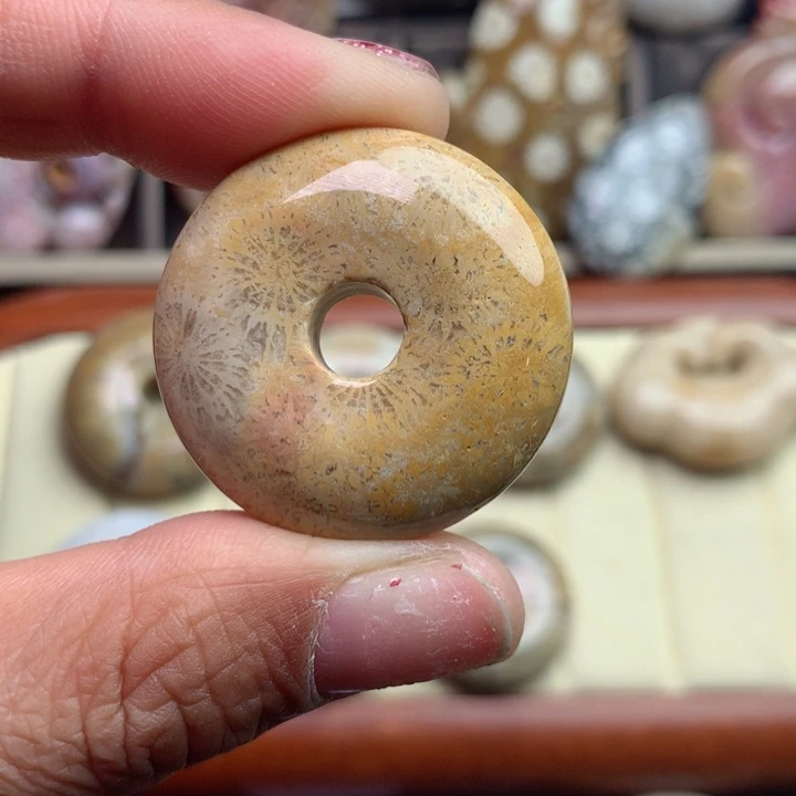 硅化珊瑚（珊瑚玉）颈饰未镶嵌