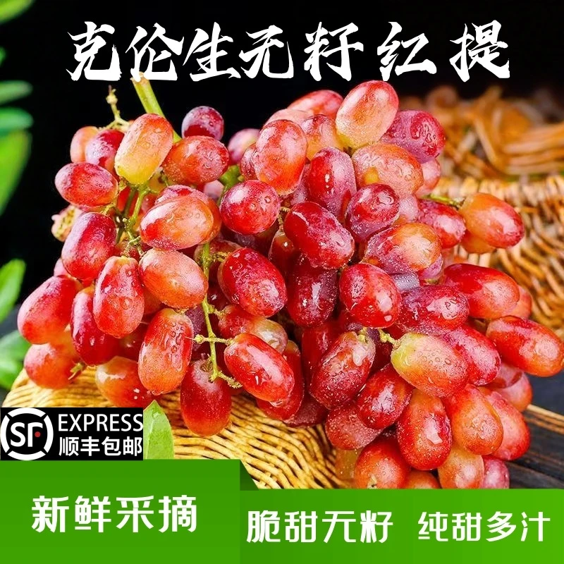 【鲜头茬】大凉山克伦生无籽红提冰美人葡萄水果香甜多汁现摘先发
