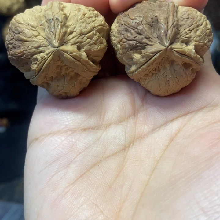 文玩核桃吊坠铁磨盘粗筋对彩三棱微瑕