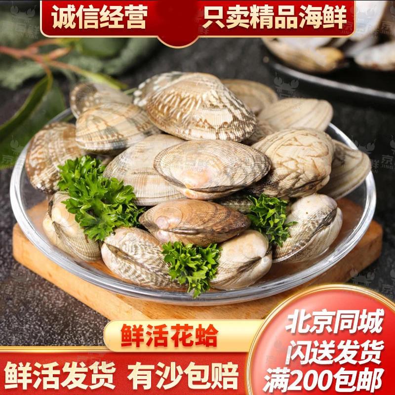 无沙花蛤1斤500g