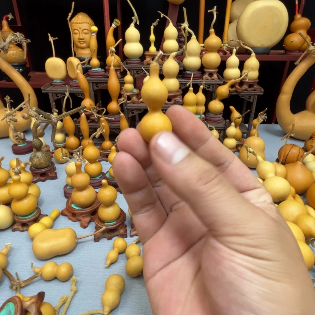 千***玺藤木我的小可爱，一点也不像个女孩