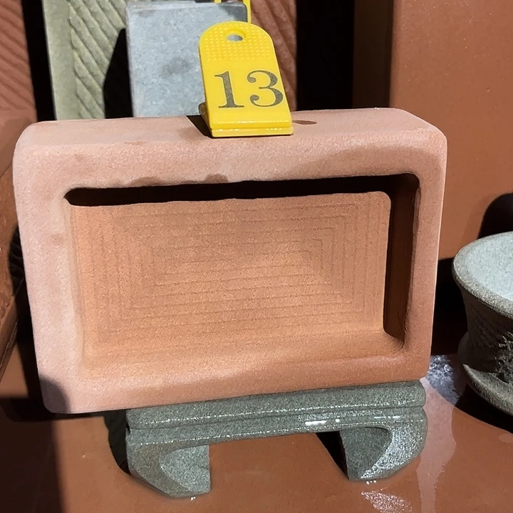 贝壳手串/手链水培