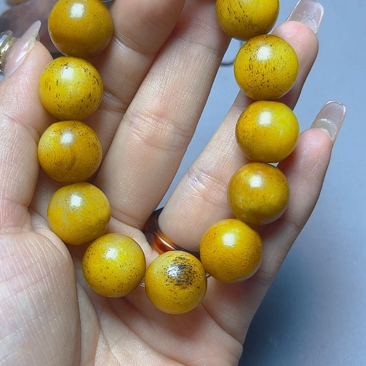 大果紫檀（缅甸花梨）