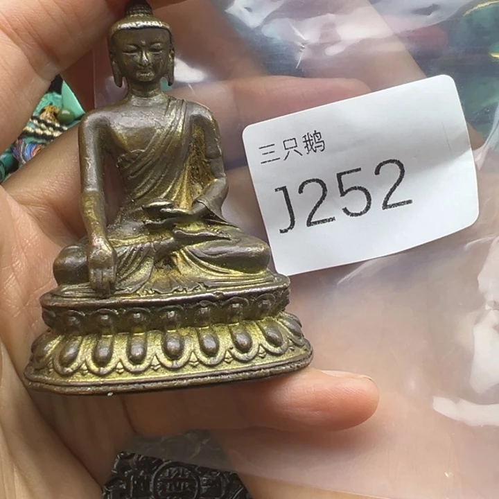 吊坠菩提根/象牙果