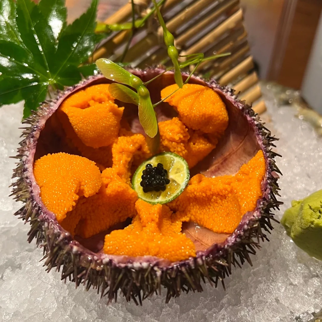 新鲜海胆马胆刺身鲜活发货4～5个/斤（包新鲜不包活）