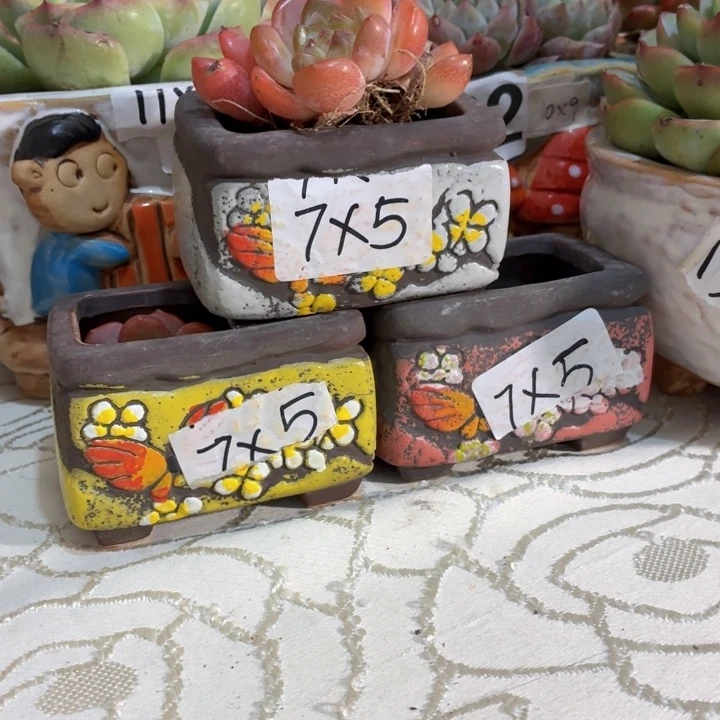 多肉花盆满15包邮