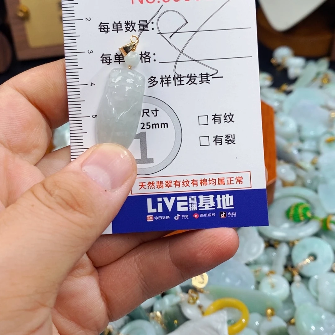 翡翠未镶嵌颈饰825