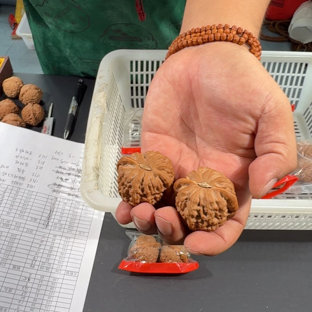 文玩核桃把件11号白狮子40mm