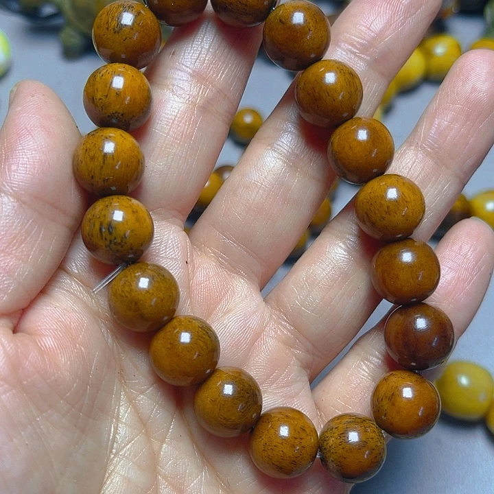 大果紫檀（缅甸花梨）