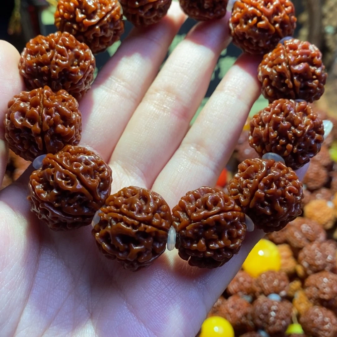 手串金刚菩提226原生态