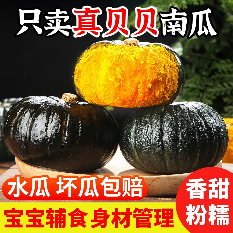 正宗贝贝南瓜粗粮宝宝辅食细腻新鲜板栗味南瓜板栗南瓜甜糯