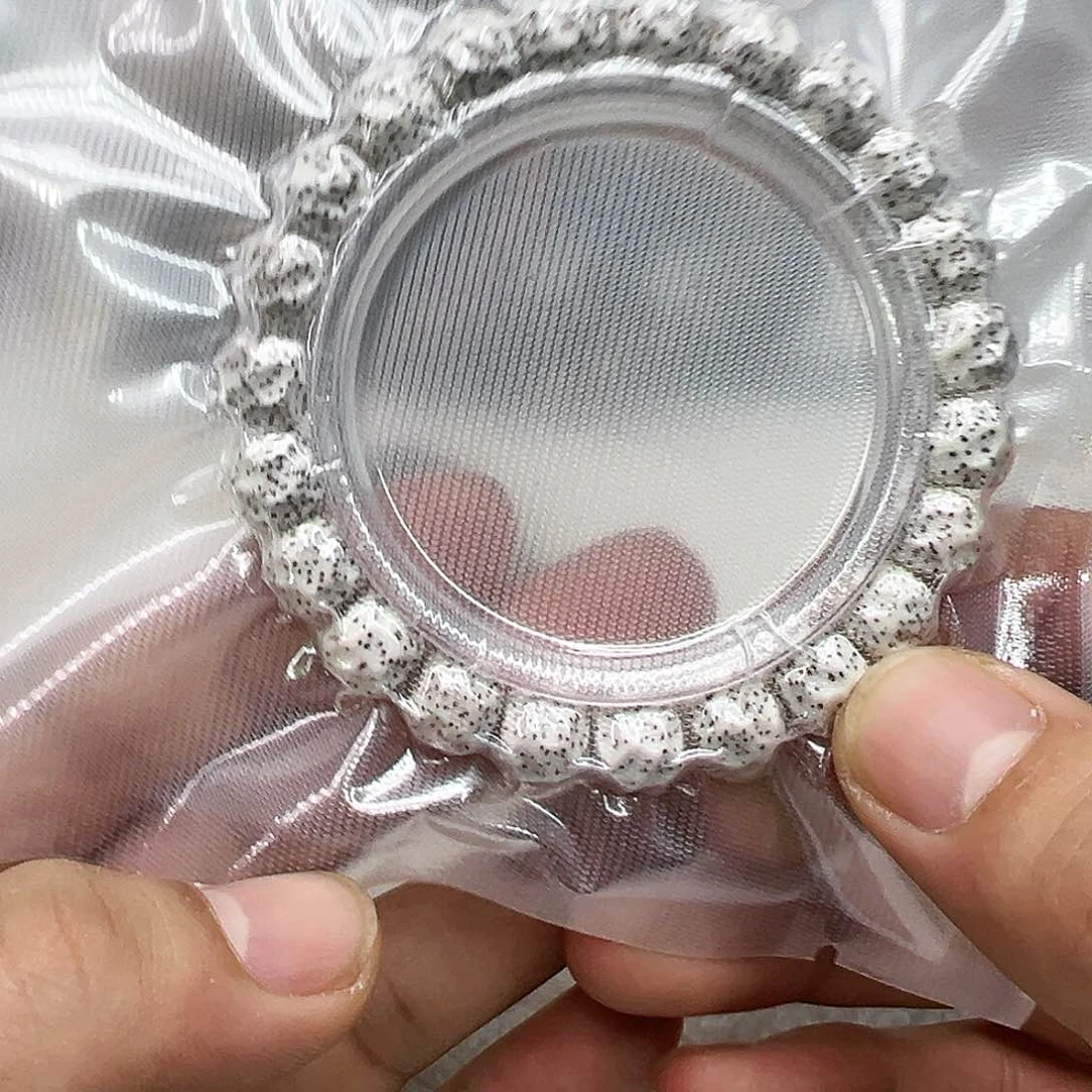 星月菩提手串10卓越原脂白星月菩提单圈无相10