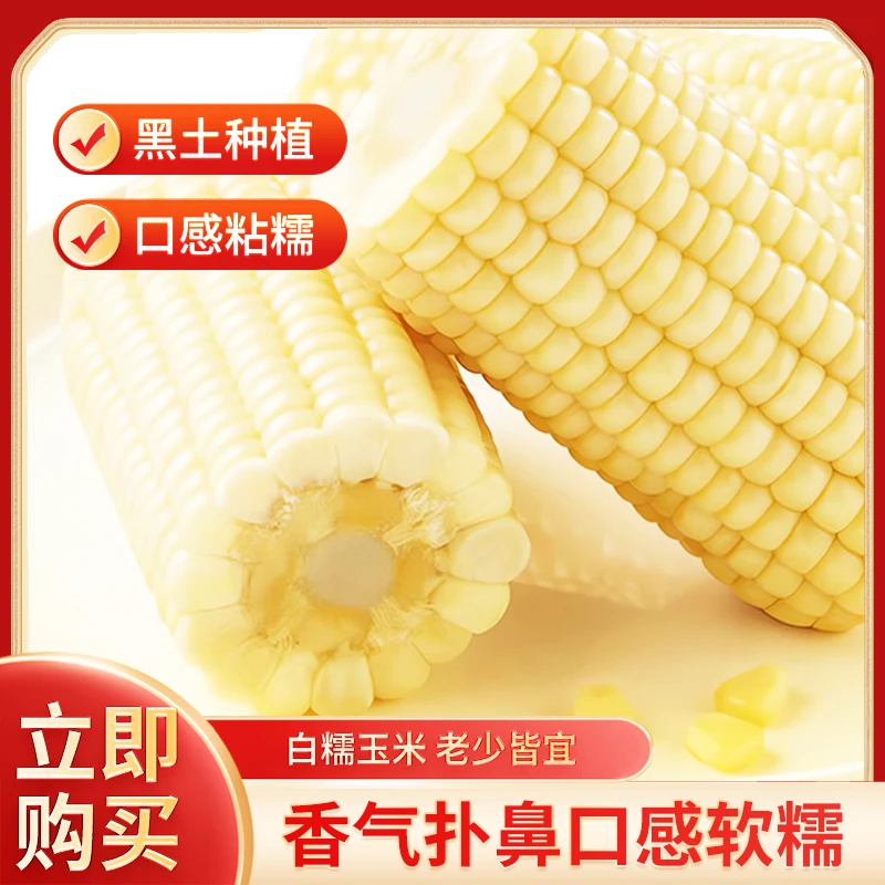 香甜软糯鲜食玉米袋装早餐速食代餐食品东北玉米真空包装白甜