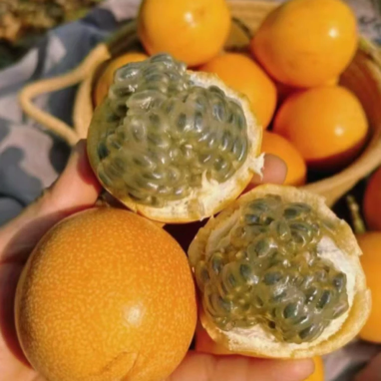 果切同城送云南热情果 2颗装云南省