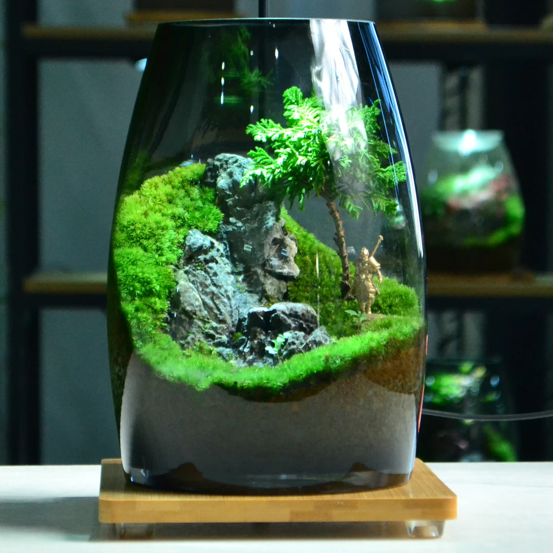 A12【绿意盈瓶】烟灰色竖高缸款桌面苔藓微景观懒人绿植送礼精品