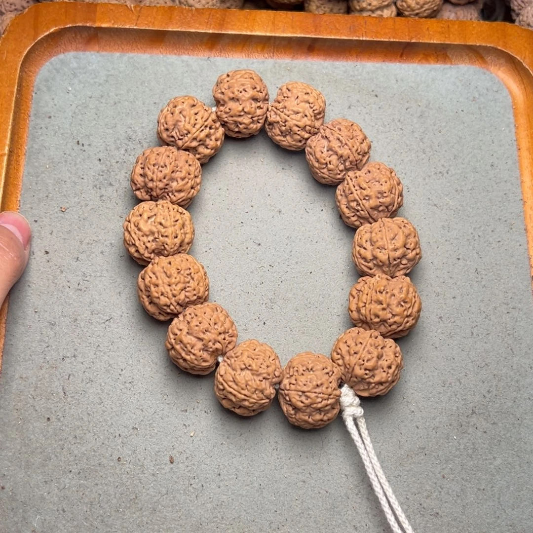 菩提18号金刚菩提满肉梅花23