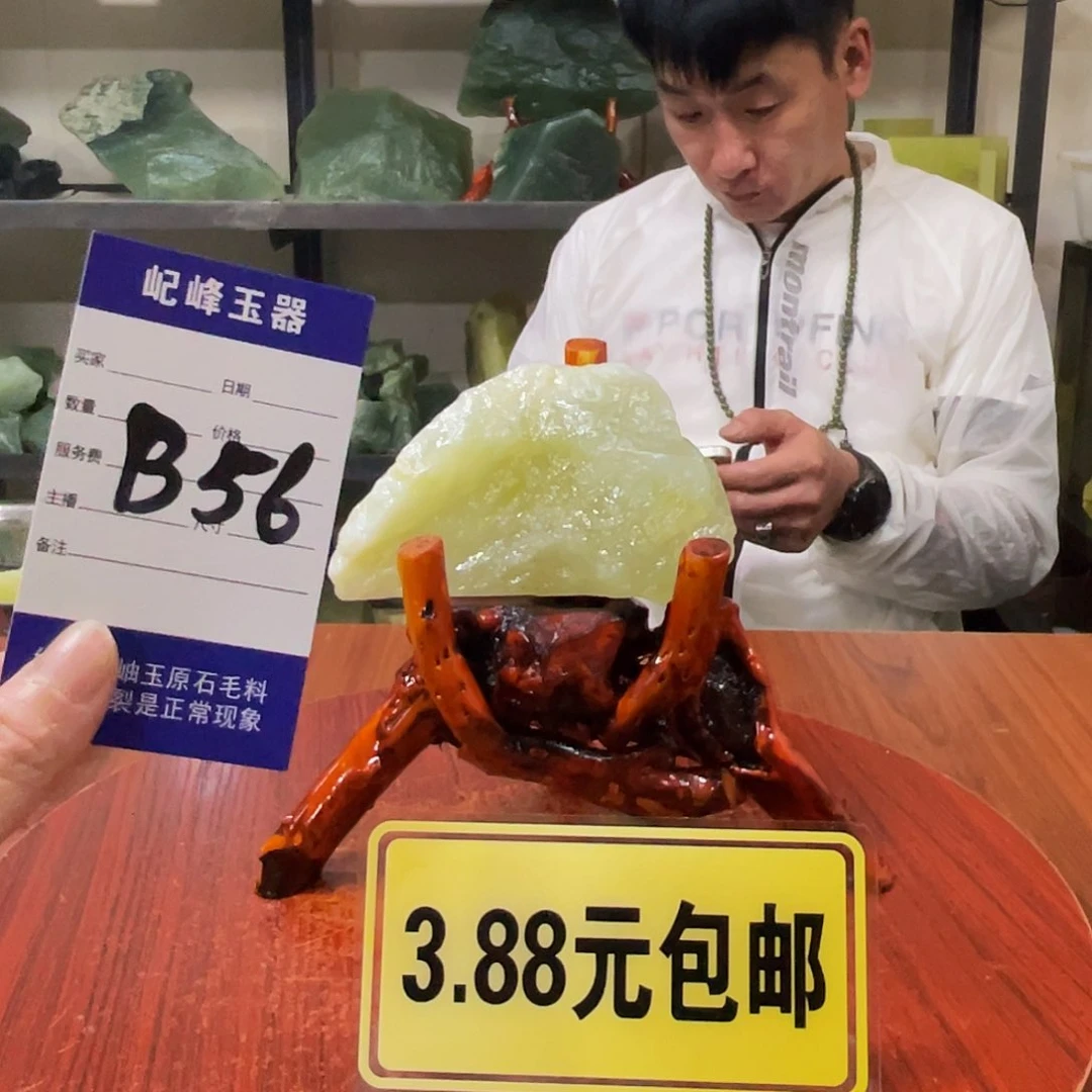 蛇纹石玉未镶嵌原石B56