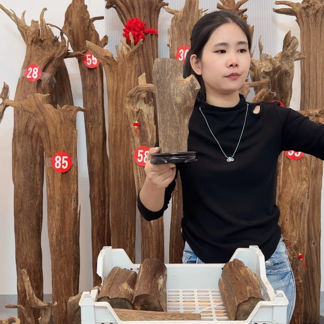 沉香沉香碎屑原材料