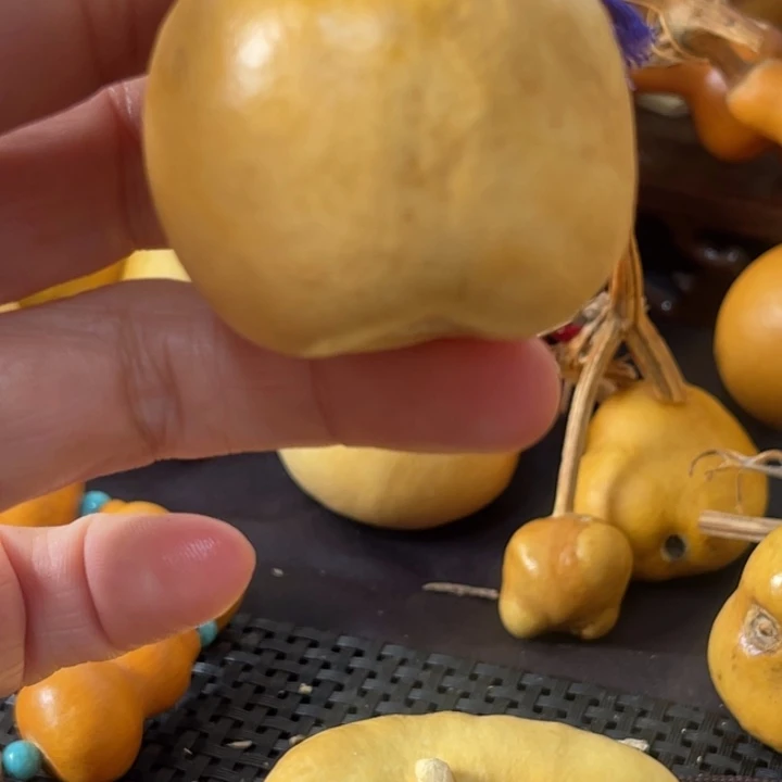 西****葫芦葫哈哈哈哈哈哈哈哈